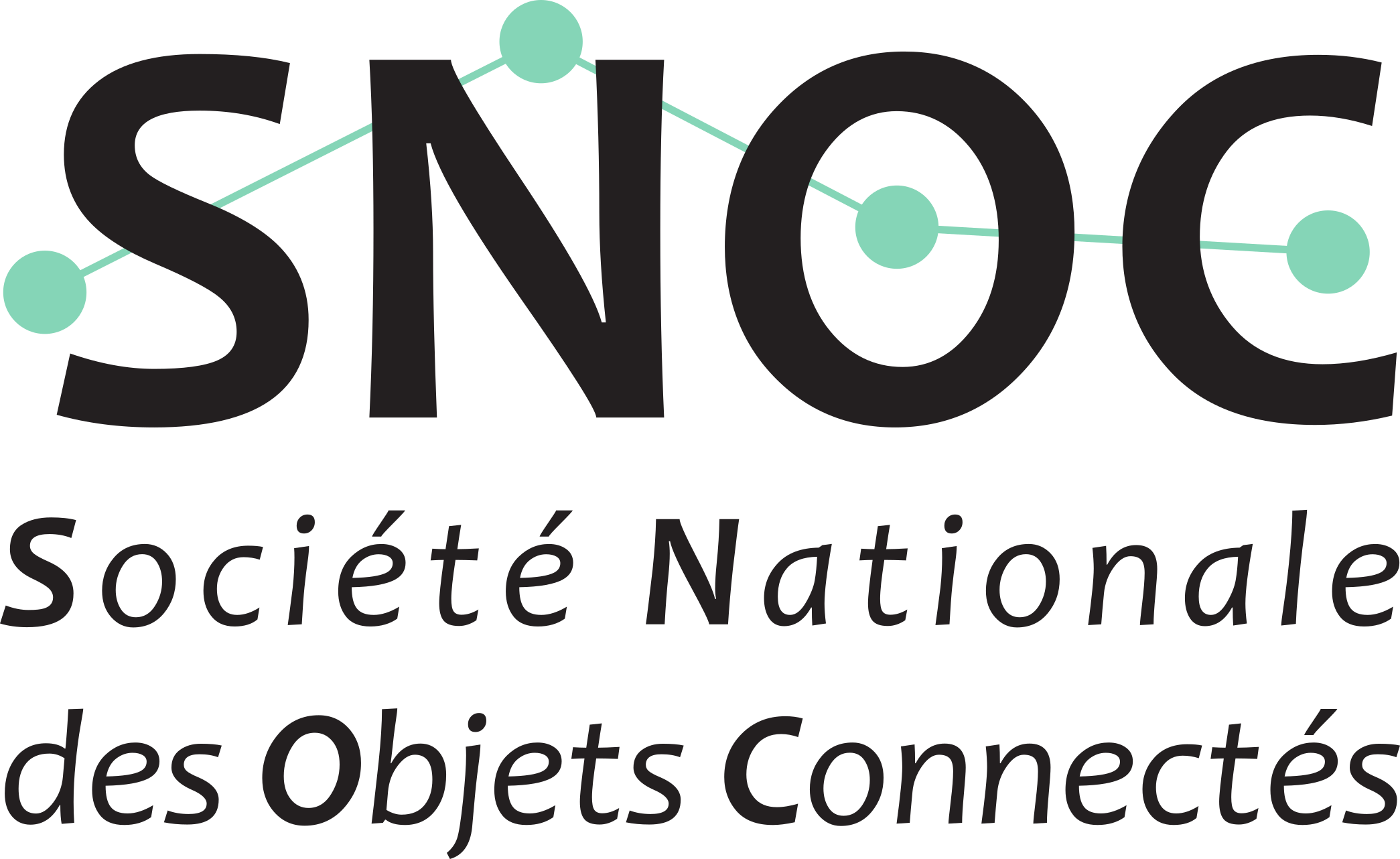 Logo snoc v